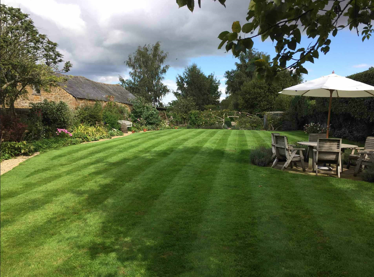 Professional garden maintenance services in Drogheda