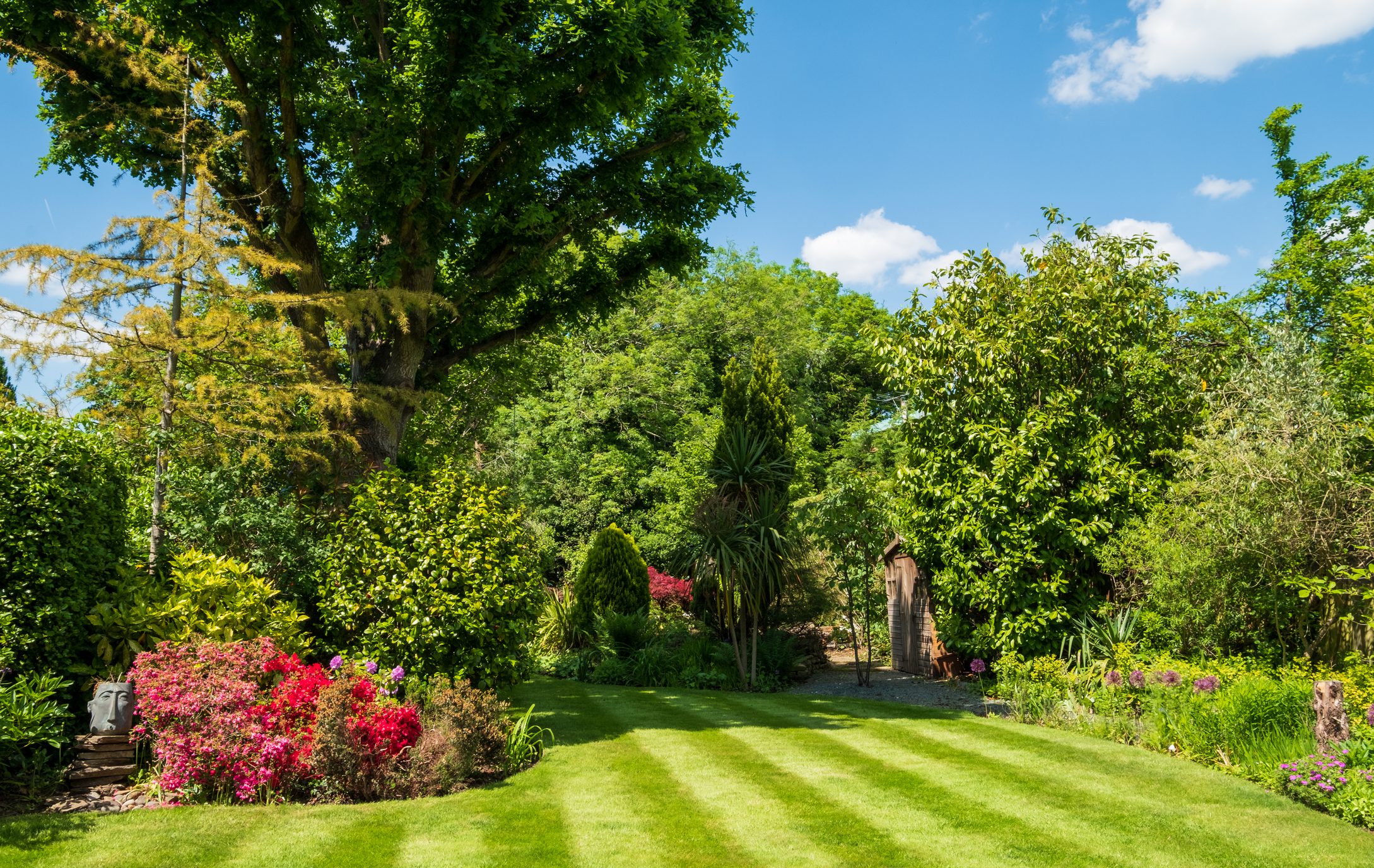 Best gardener dublin